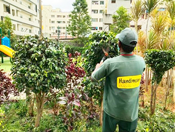 gardening-services-in Bangalore
